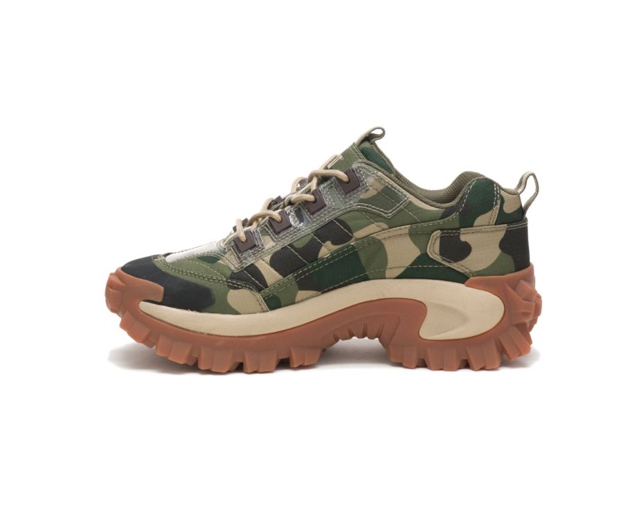 Caterpillar Intruder Shoe Günlük Ayakkabı Kadın Camo | 76TBR2