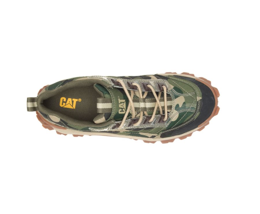 Caterpillar Intruder Shoe Günlük Ayakkabı Kadın Camo | 76TBR2