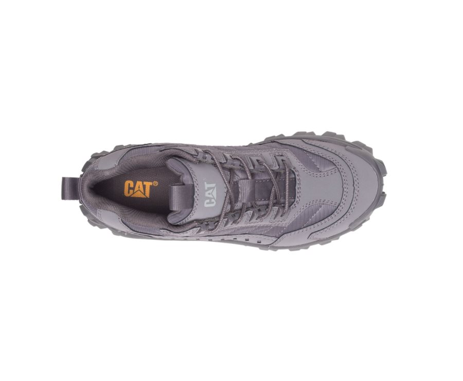 Caterpillar Intruder Shoe Günlük Ayakkabı Kadın Gri | 8RKZVE